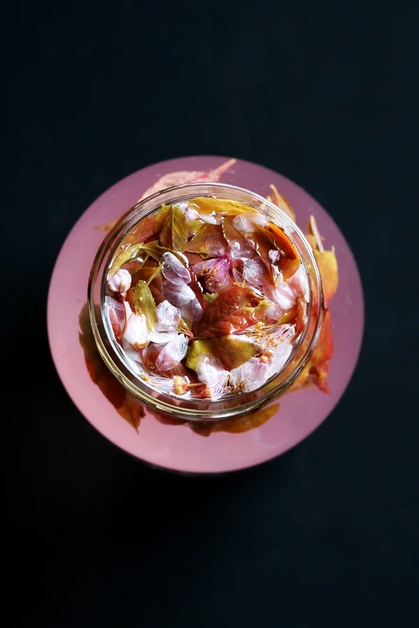  plum tree blossom yeast water 