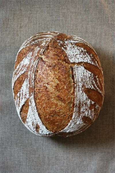  campagne with wild lilac blossom yeast&nbsp; 