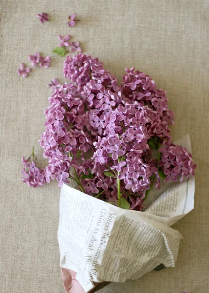  wild lilac blossom for making yeast water 