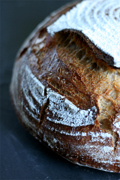  campagne from local cherry yeast 