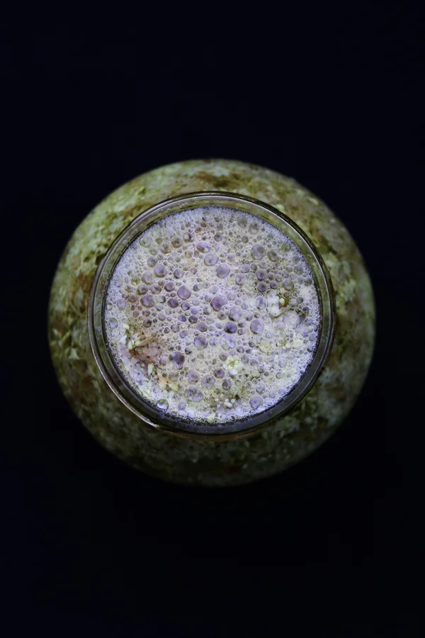  wild blue elderflower yeast (kobo) 