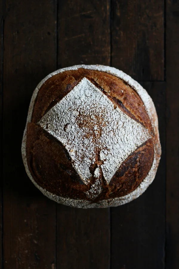  campagne with wild blue elderflower yeast (kobo) 