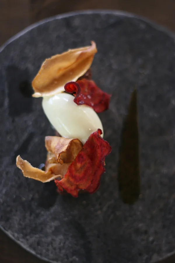 chocolate with root vegetable chips and douglas fir gelato