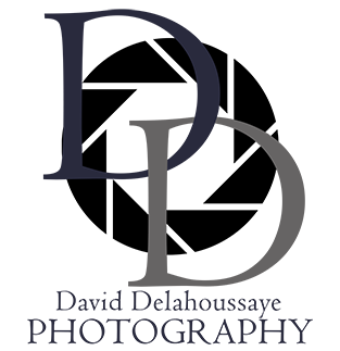 Logo_DD_WithName_Blue_Small.png