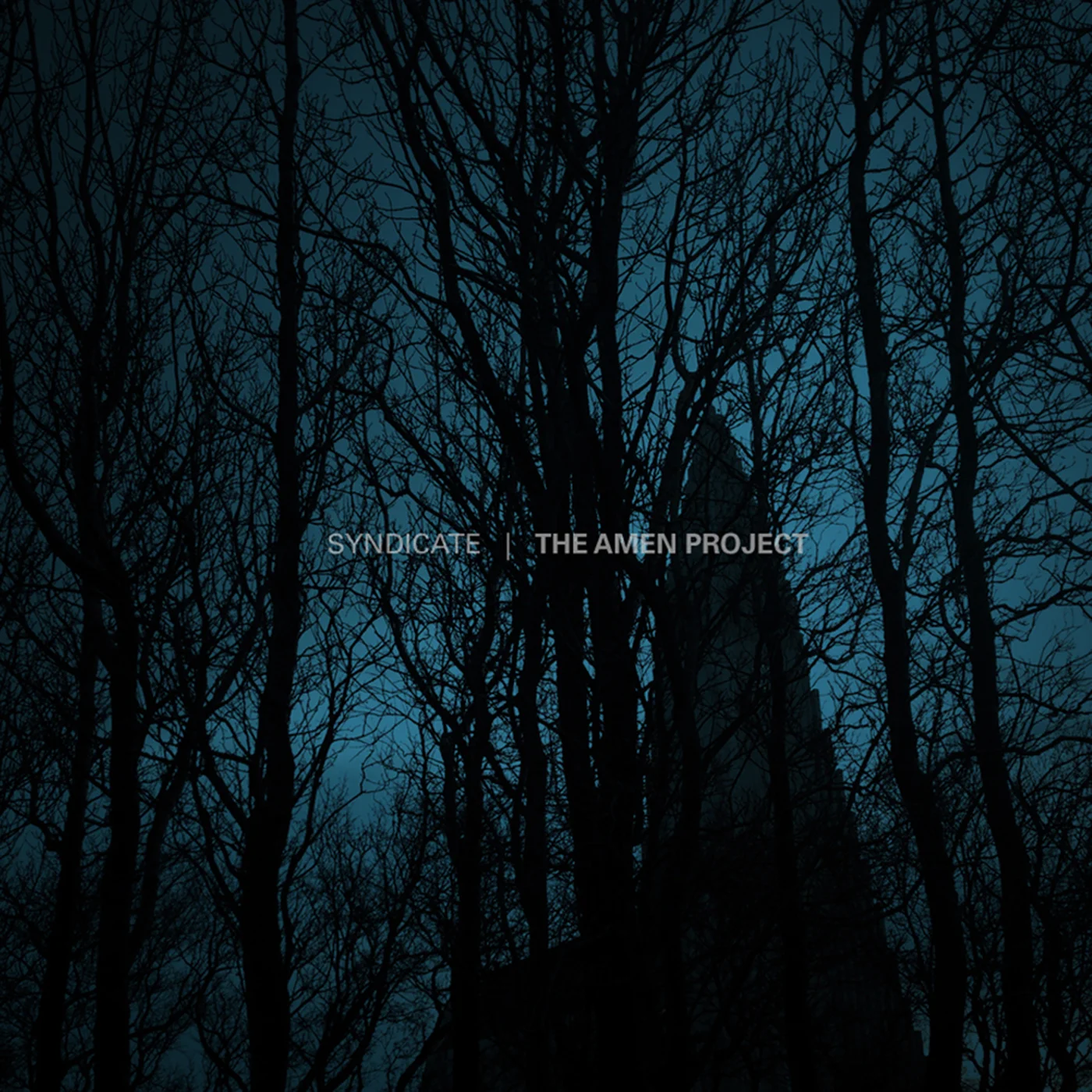 SYN004- The Amen Project.jpg