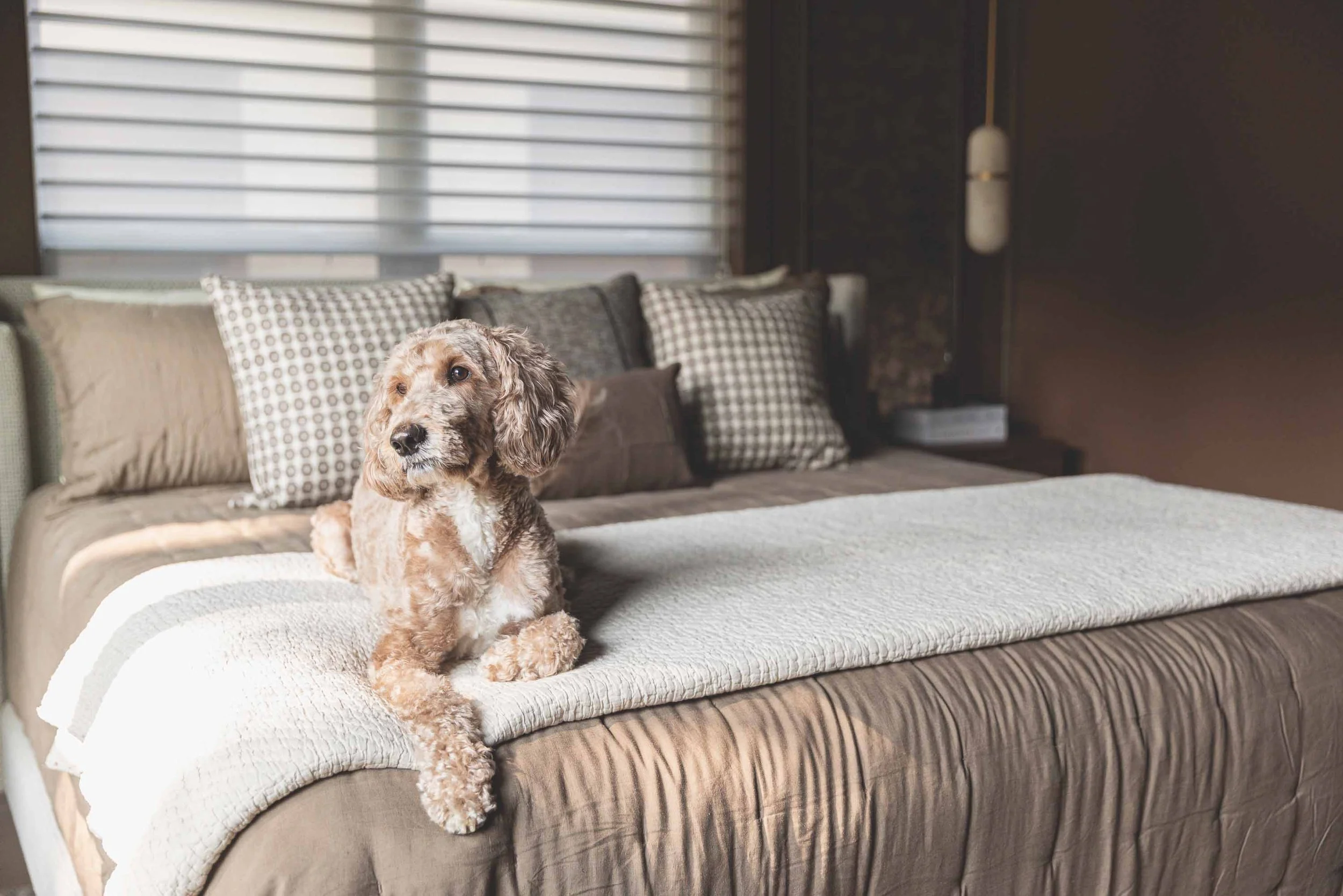 PRIM BEDROOM WITH JACK.jpg