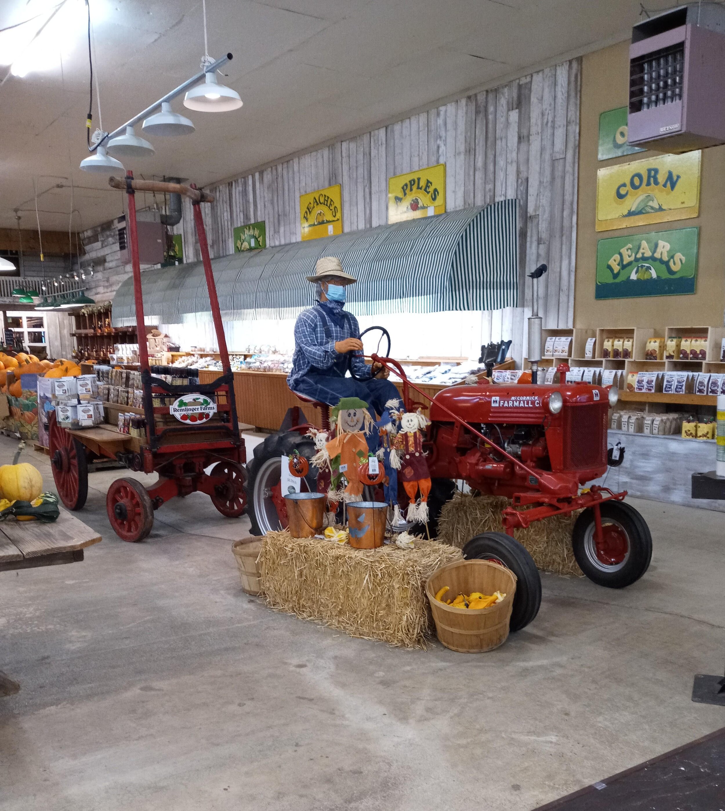 tractor and pumpkins.jpg