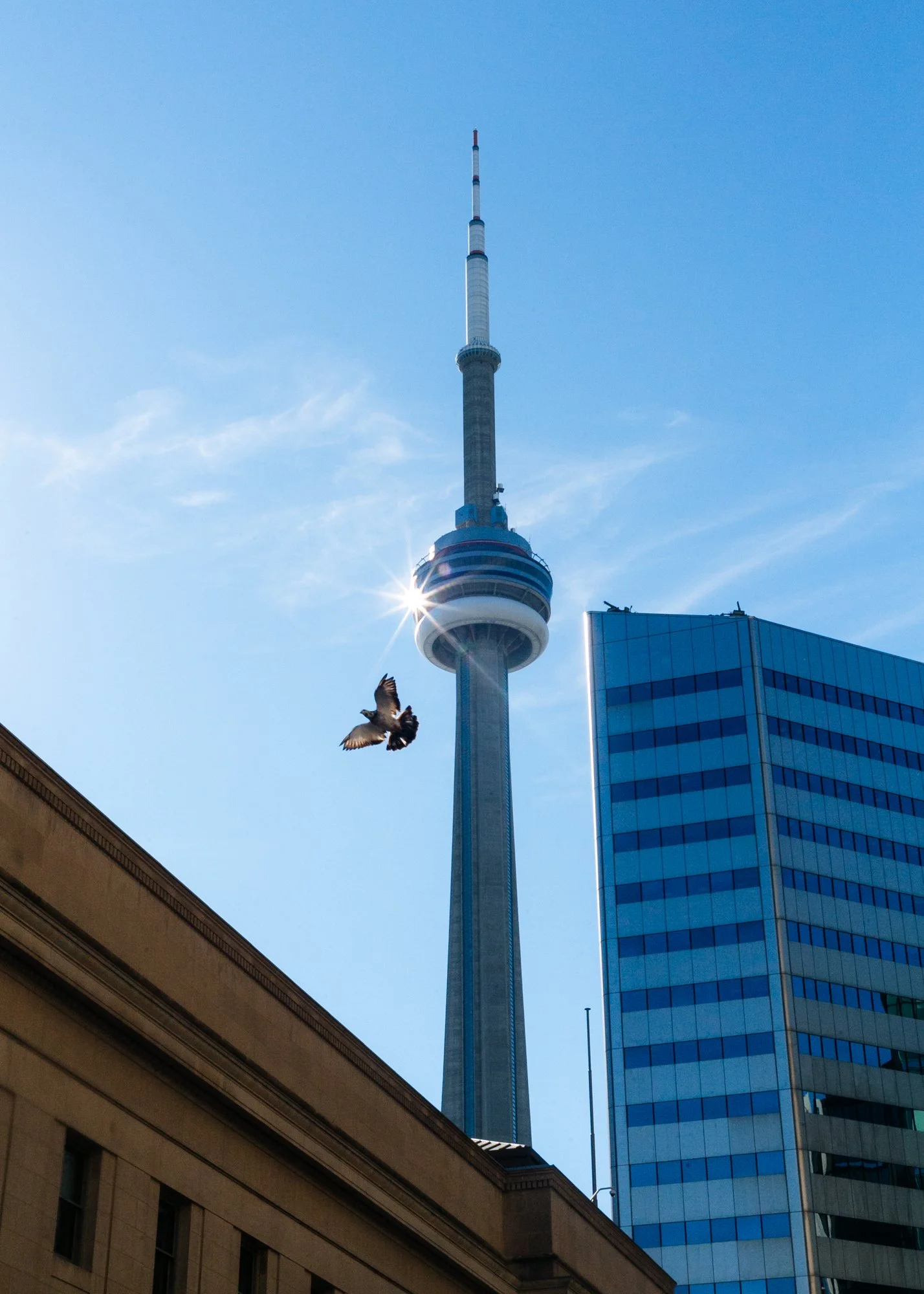 CN Tower.jpg