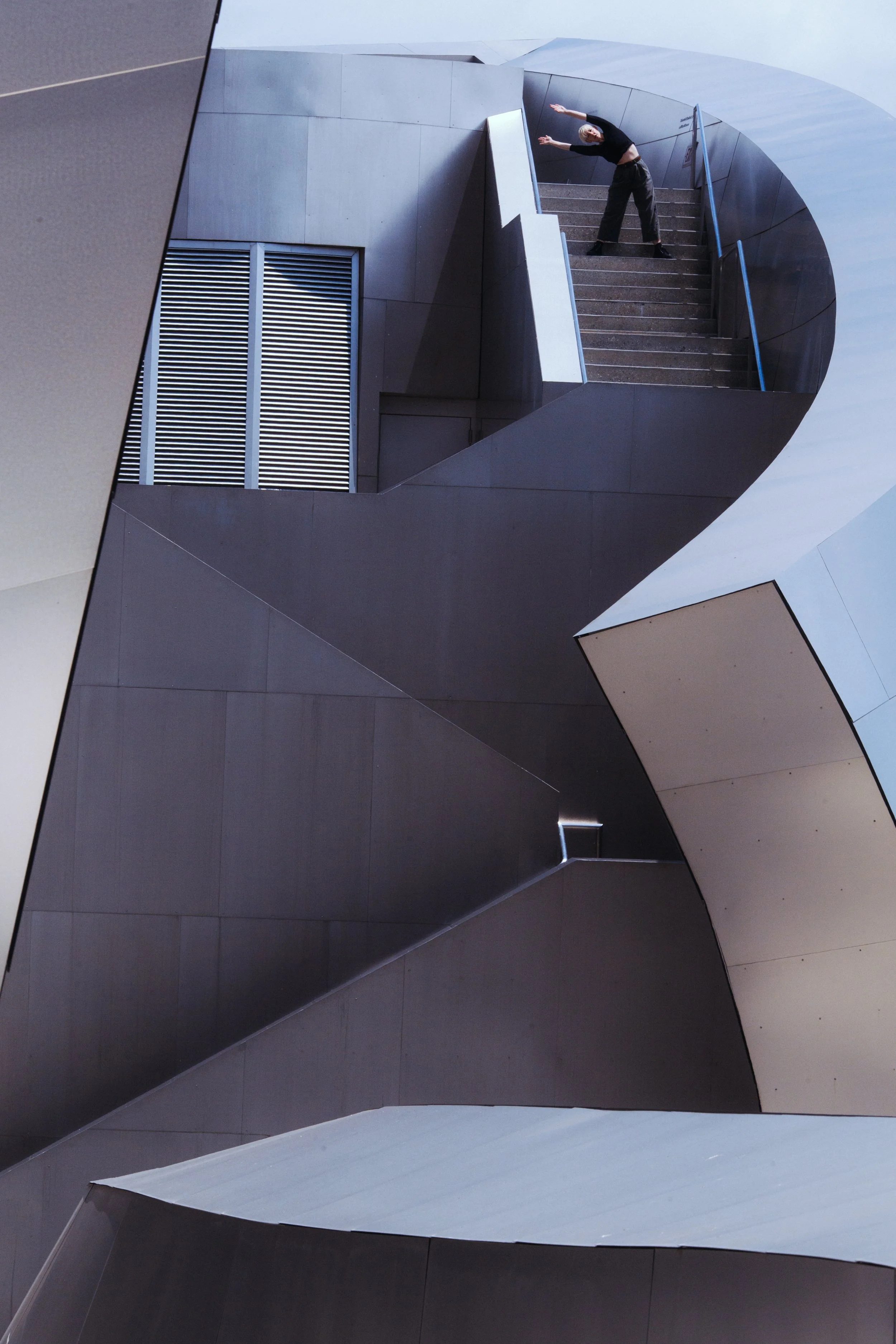 7-WDCH.jpg