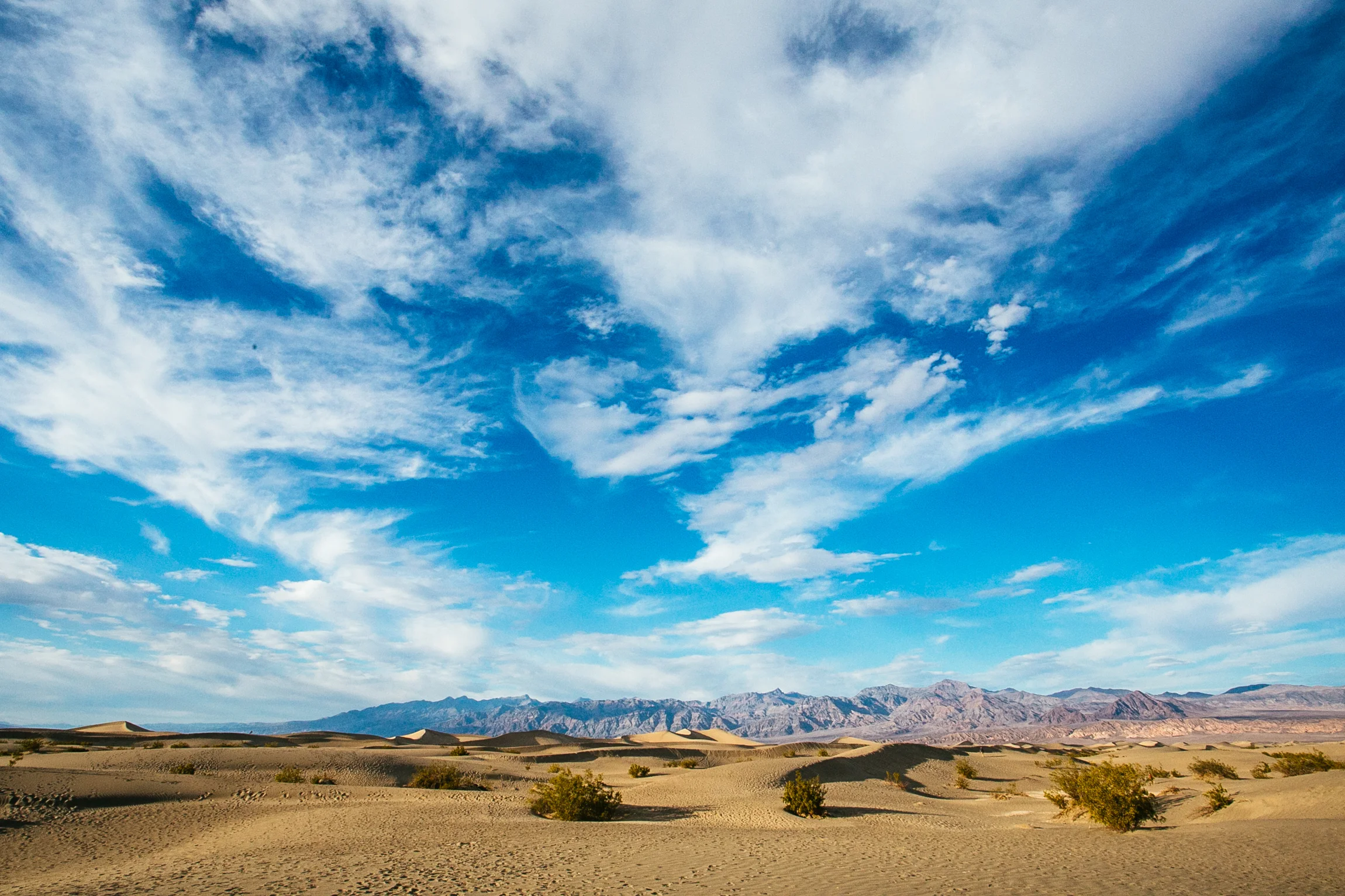 Mesquite Sand Dunes