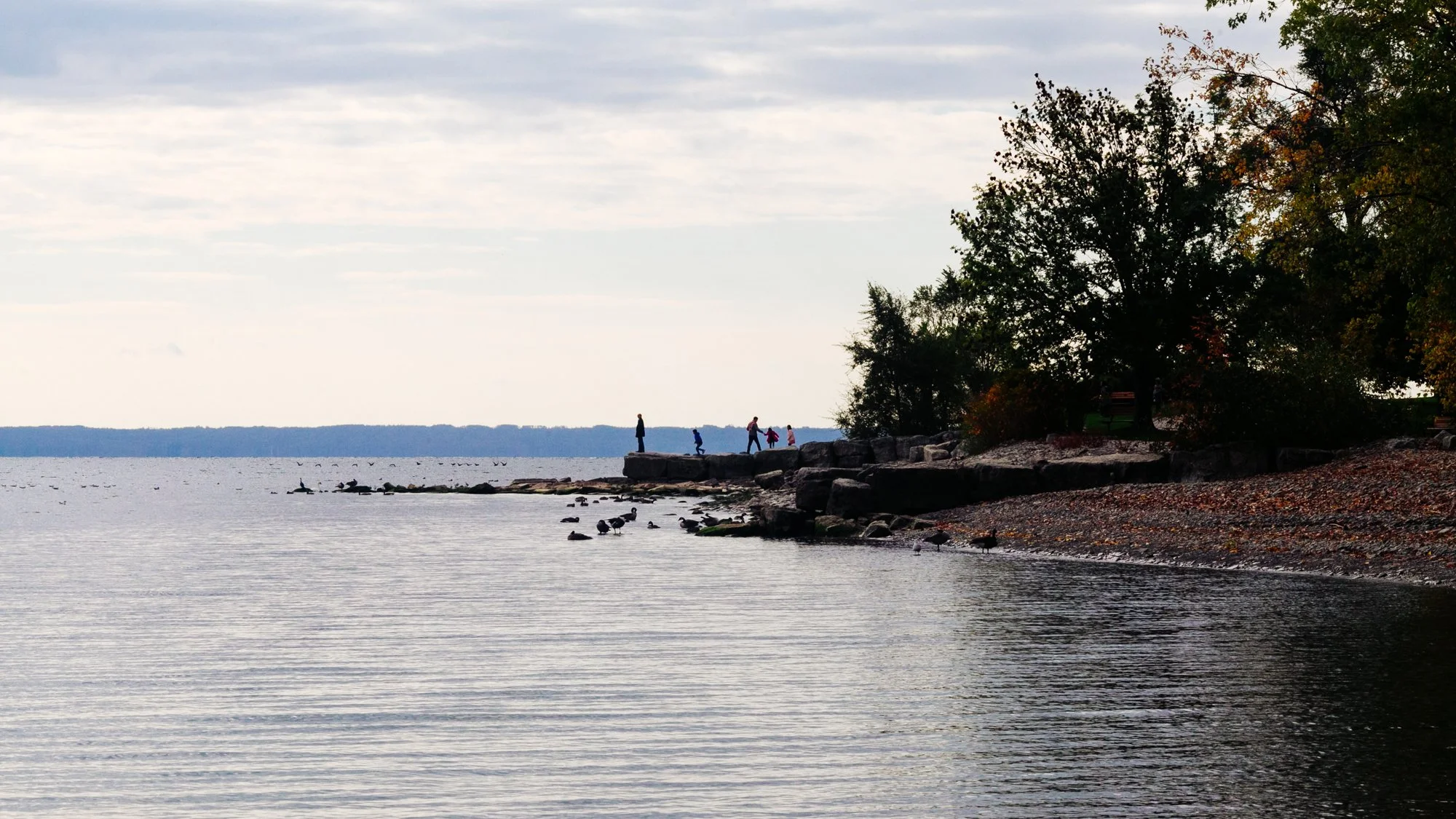 Lake Ontario.jpg