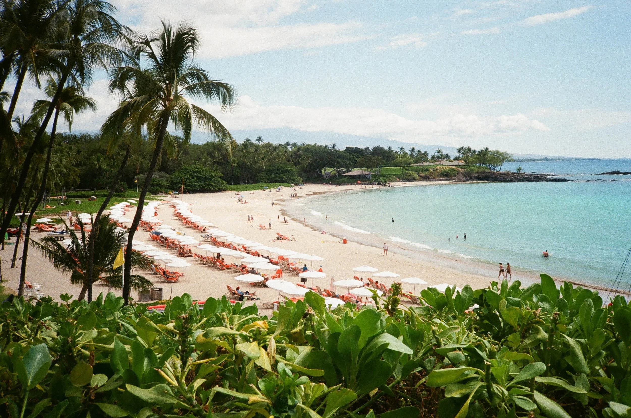 Hawaii-5.jpg