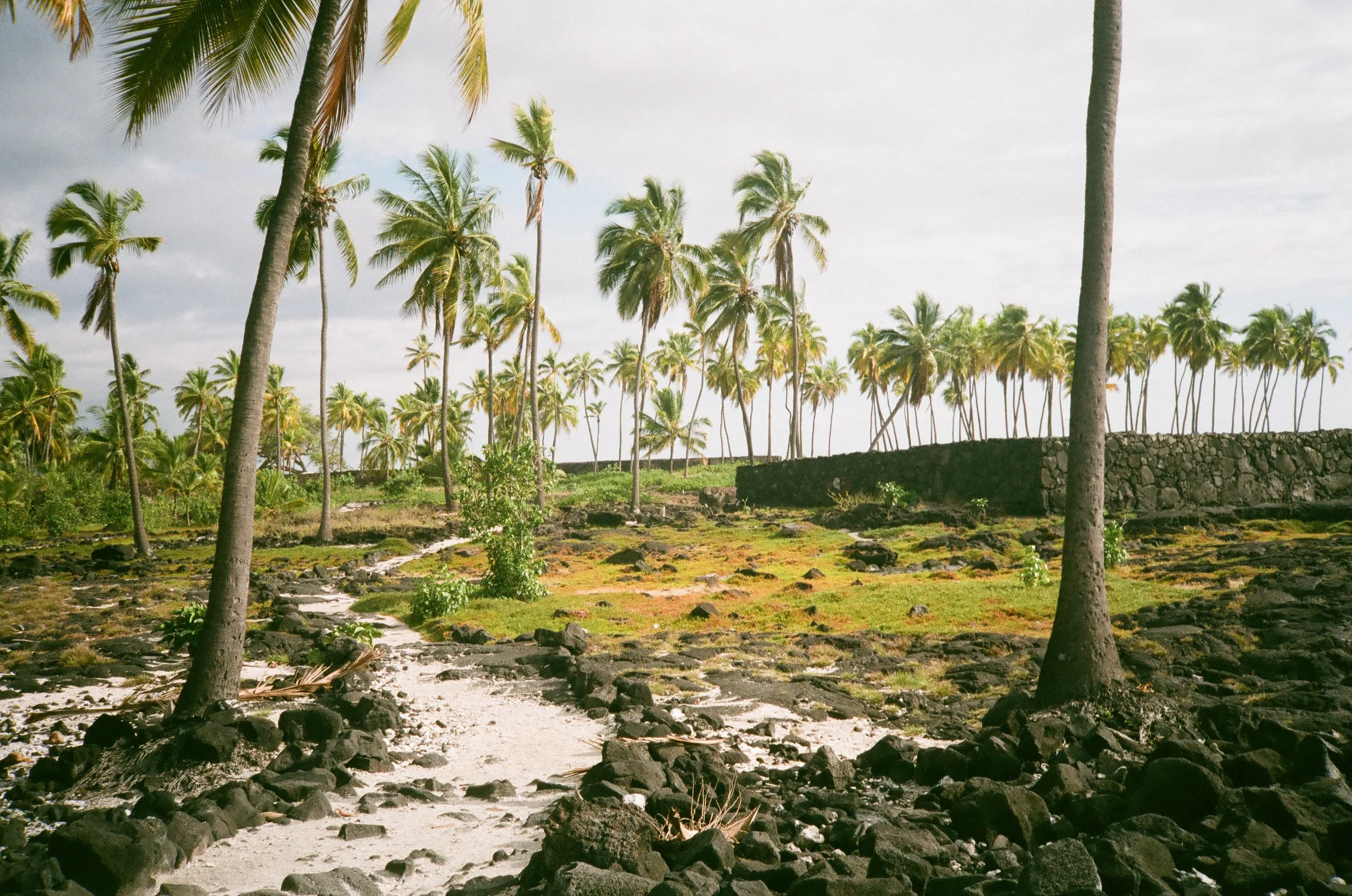 Hawaii-3.jpg