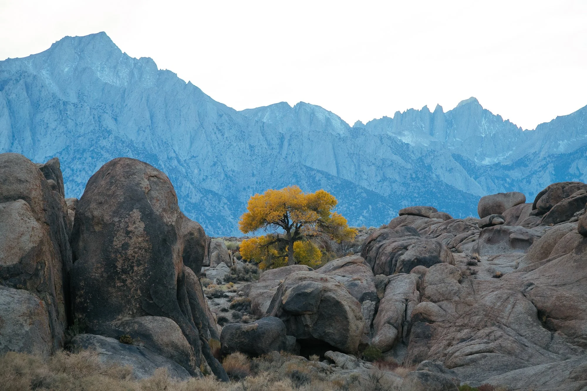 alabama_hills_CP.jpg