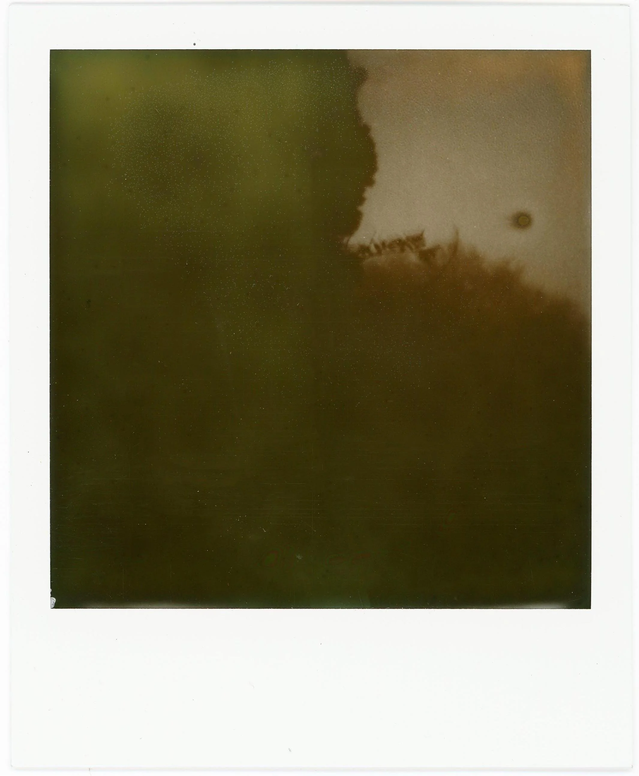 Untitled poems (Winter IV)