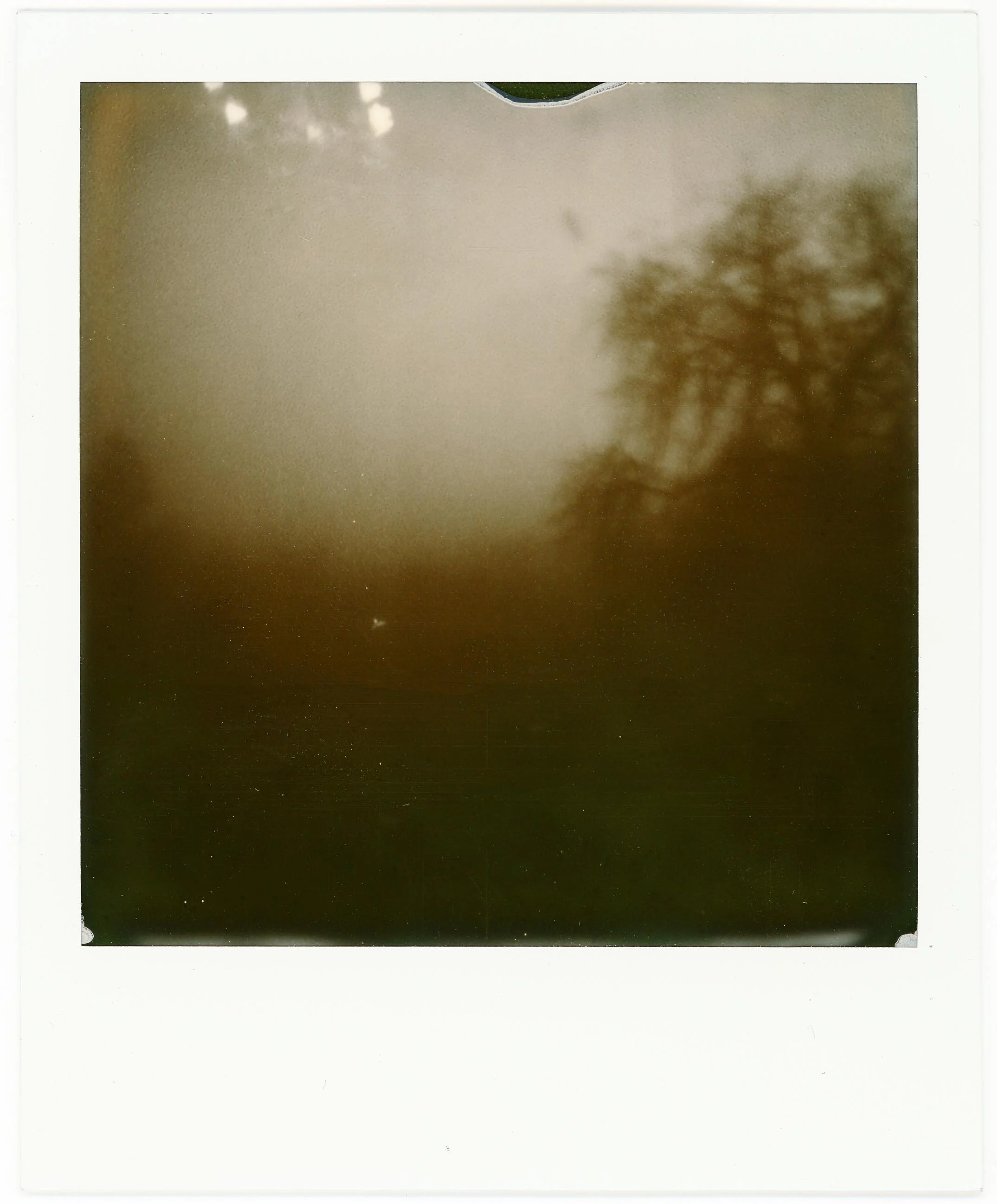 Untitled poems (Winter VI)