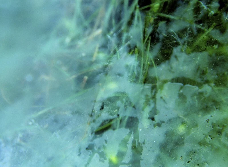 Getting lost felt solitary (over by the lake)