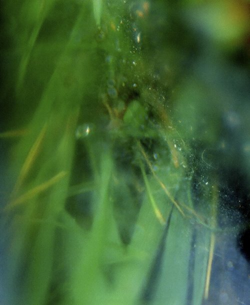 When I blew away the ash (edge of wood)