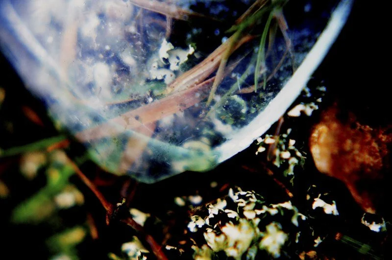 The distance between us (down the gravel path)