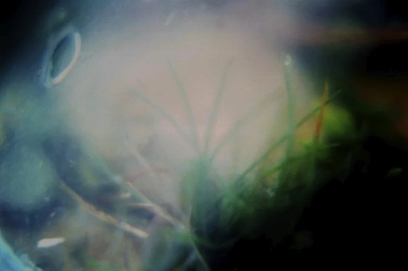 Felt sense (near the lighthouse)