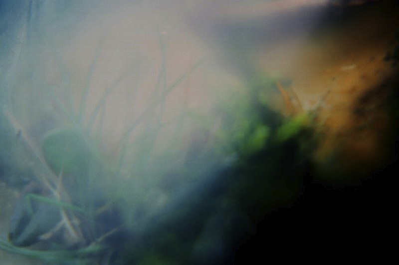 Felt sense (near the lighthouse) ii