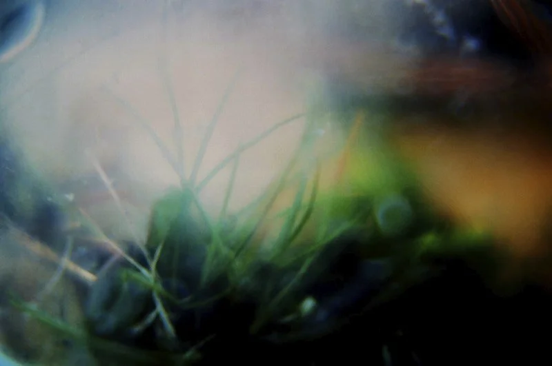 Felt sense (near the lighthouse) iii