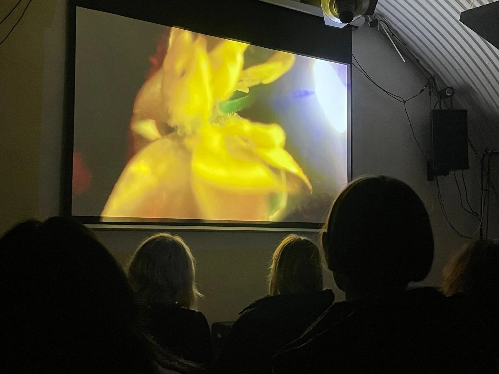 Screening: "If I eat you, will we both still be OK? (Plant)", Spanners, 2024