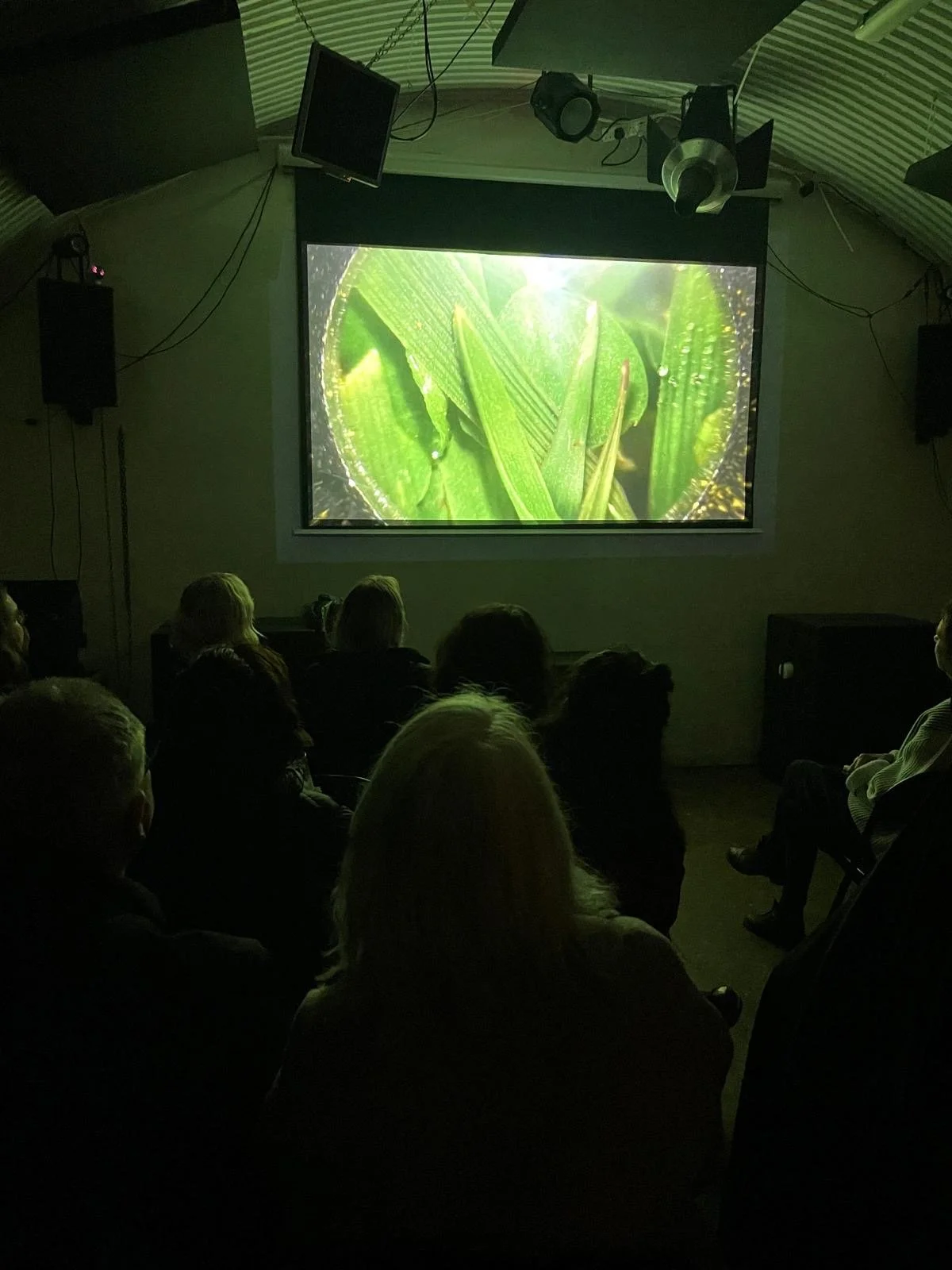 Screening: "If I eat you, will we both still be OK? (Plant)", Spanners, 2024