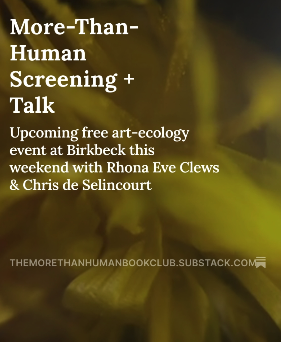 Artist's talk with Chris de Selincourt, London Conference of Critical Thought, Birkbeck, London