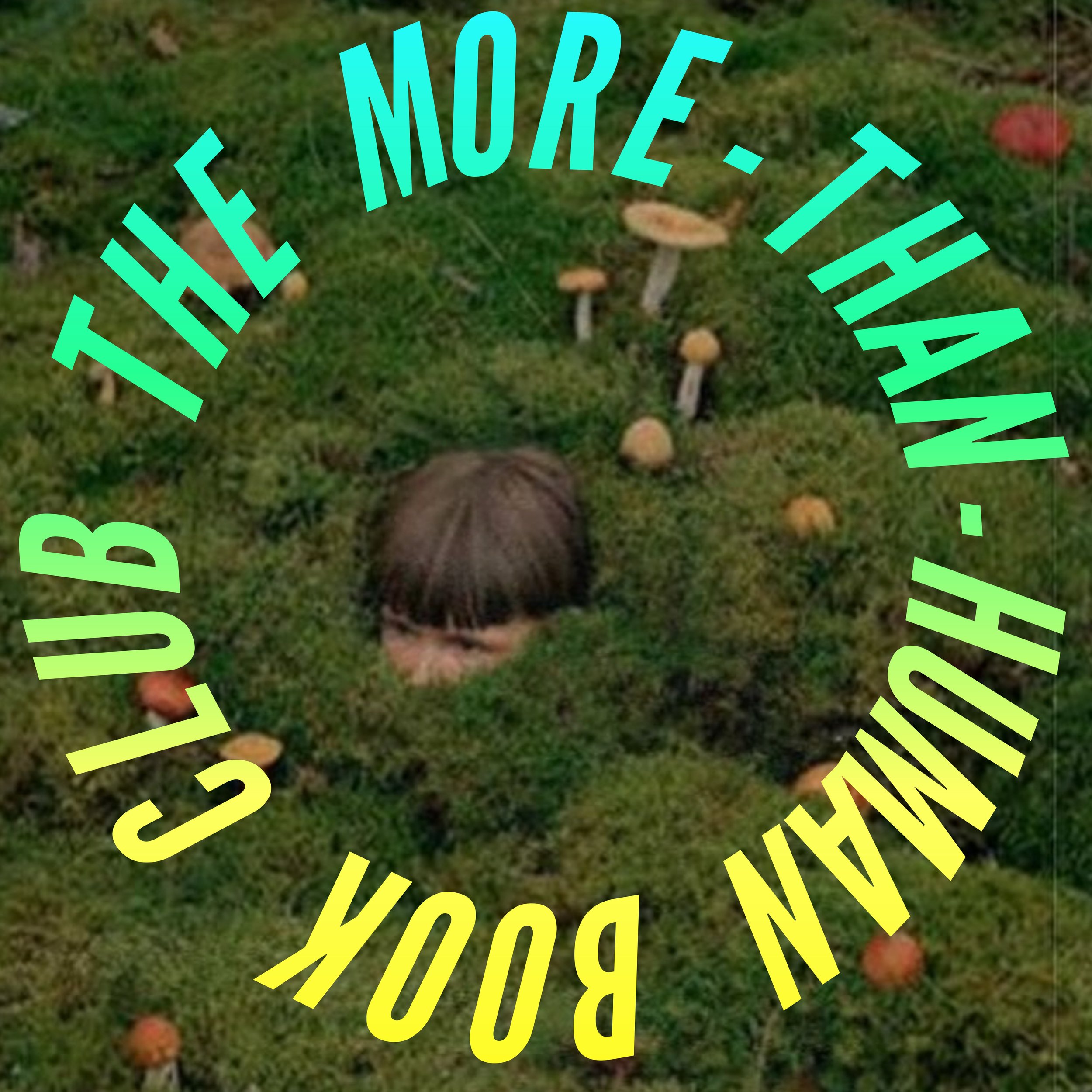 The More-Than-Human Book Club, 2025