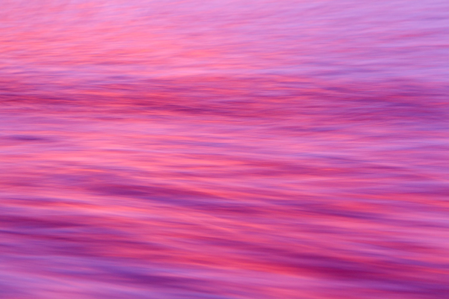 Sunset hues reflected in the slow shutter capture of a tidal surge on 27th of October 2014 at Avalon Beach in Sydney Australia