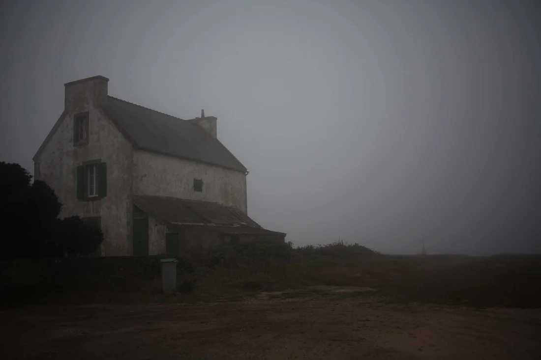 6_fog3.jpg