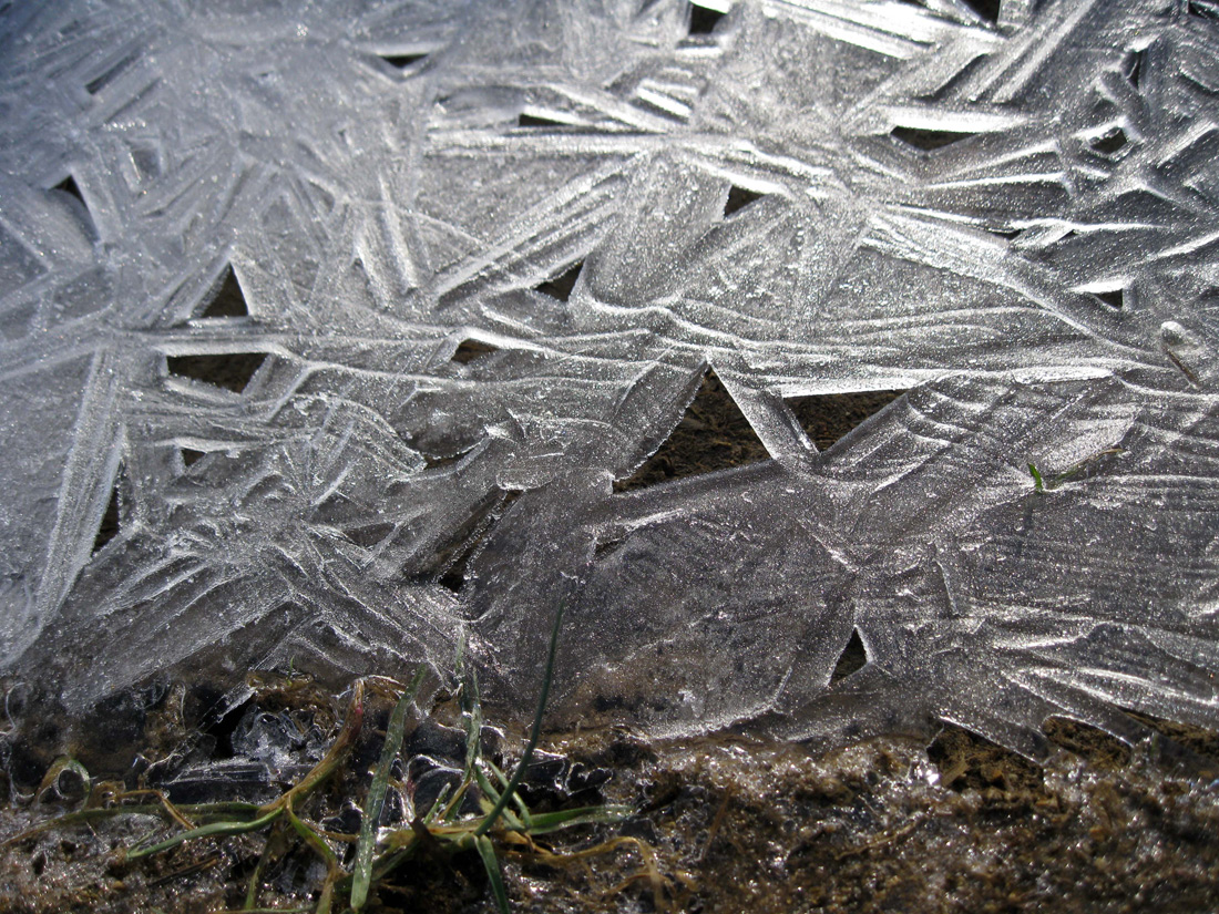 7_ice.jpg