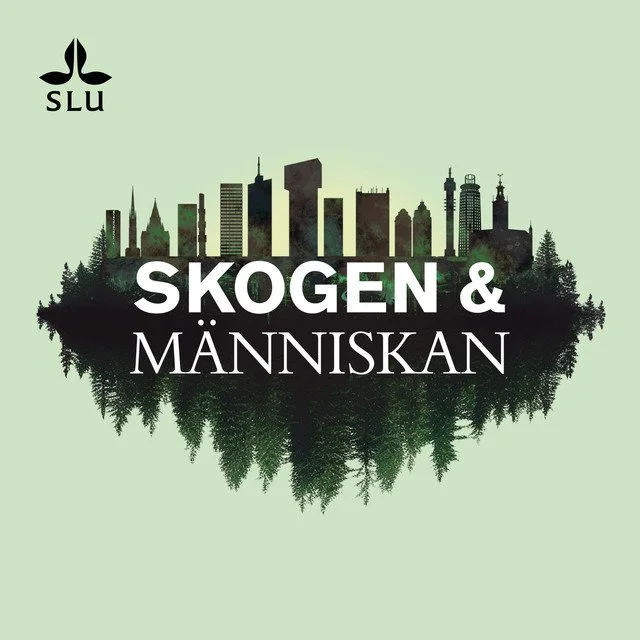 Skogen &amp; människan