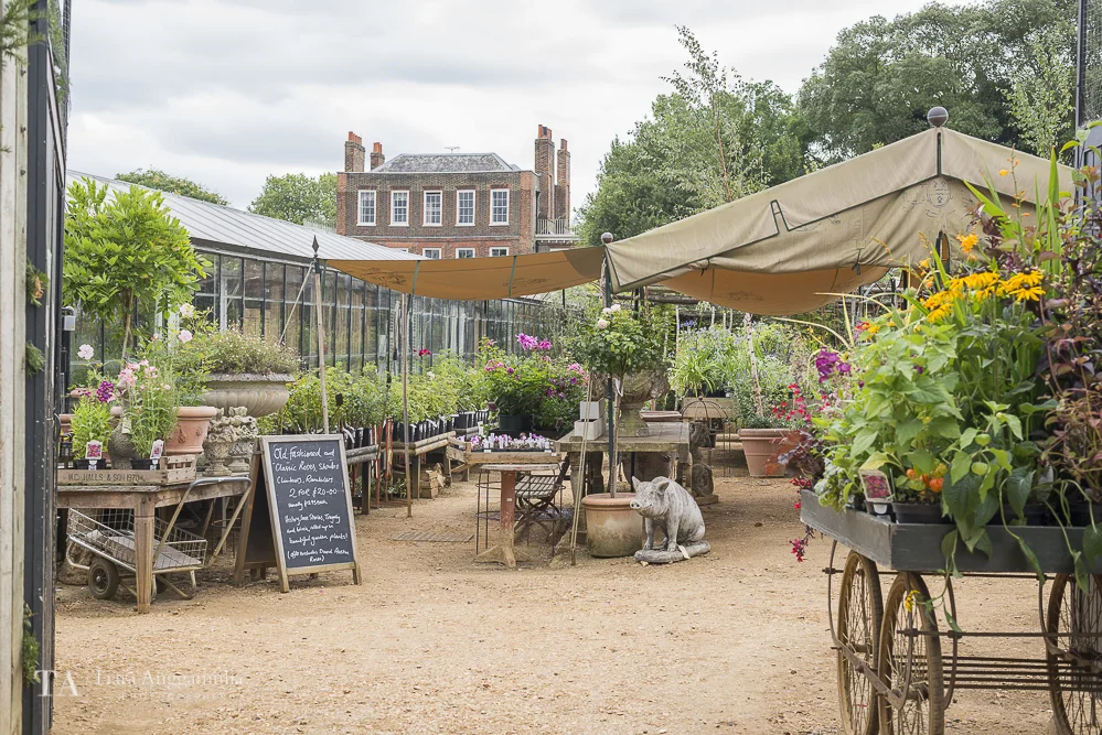 One of the prettiest nurseries.