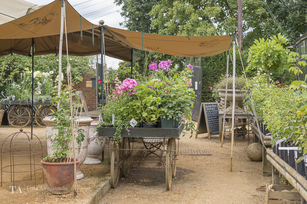A view of Petersham Nurseries.