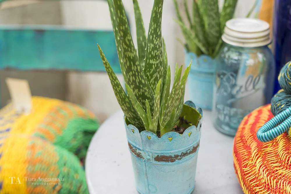 Aloe vera in a blue tin pot.