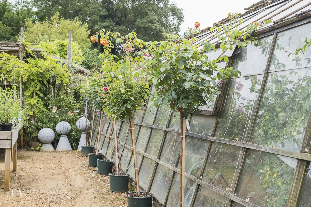 The beautiful Petersham Nurseries.