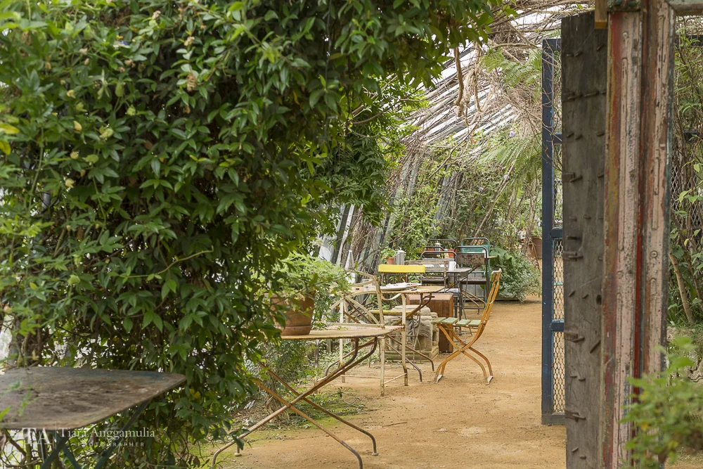 A peek into the garden cafe in Petersham Nurseries.