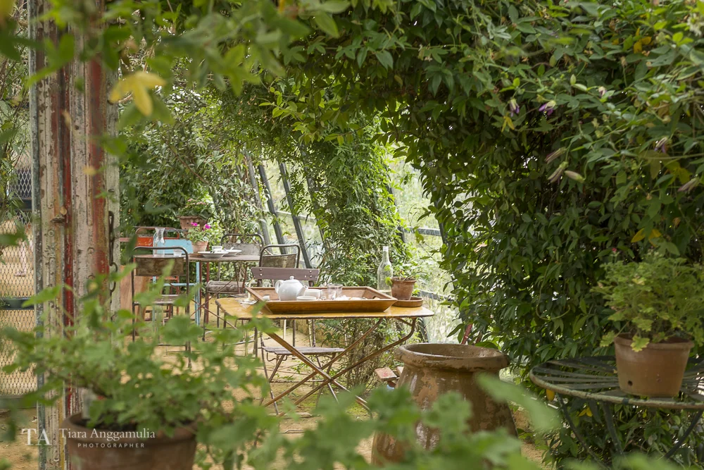Cafe in Petersham Nurseries.