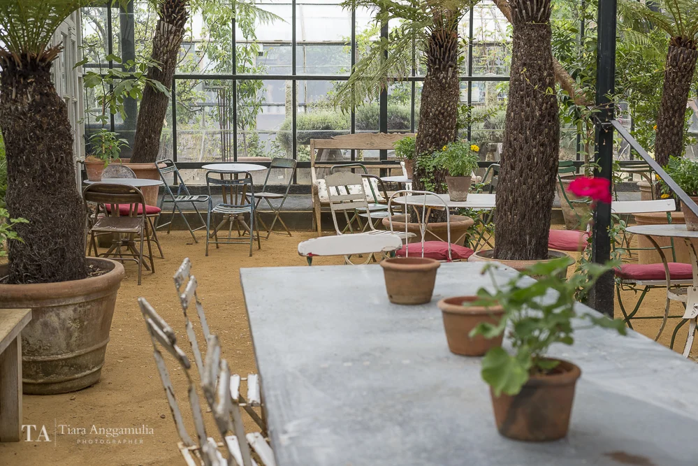 The garden cafe at Petersham Nurseries.