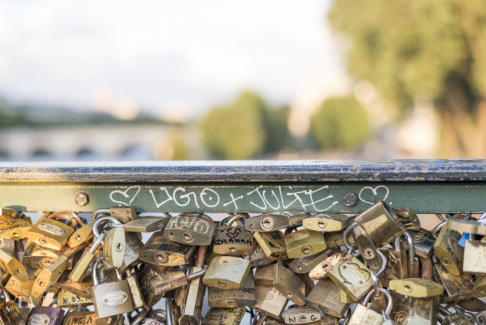  Padlocks on Pont des Arts. 