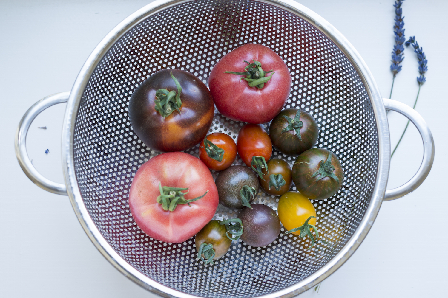 Colourful tomatoes from the farmers market.jpg