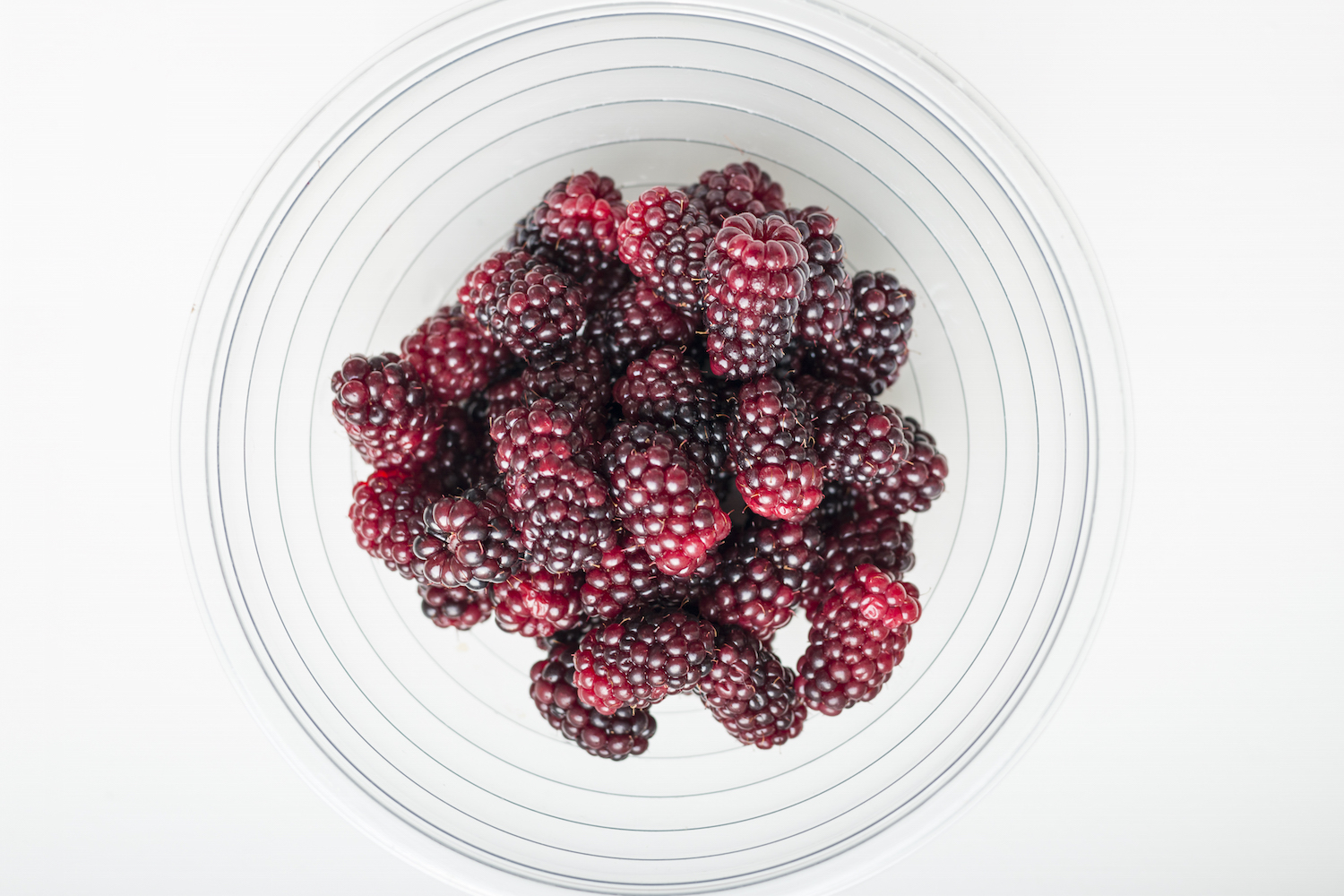 Freshly picked blackberries from the farm.jpg