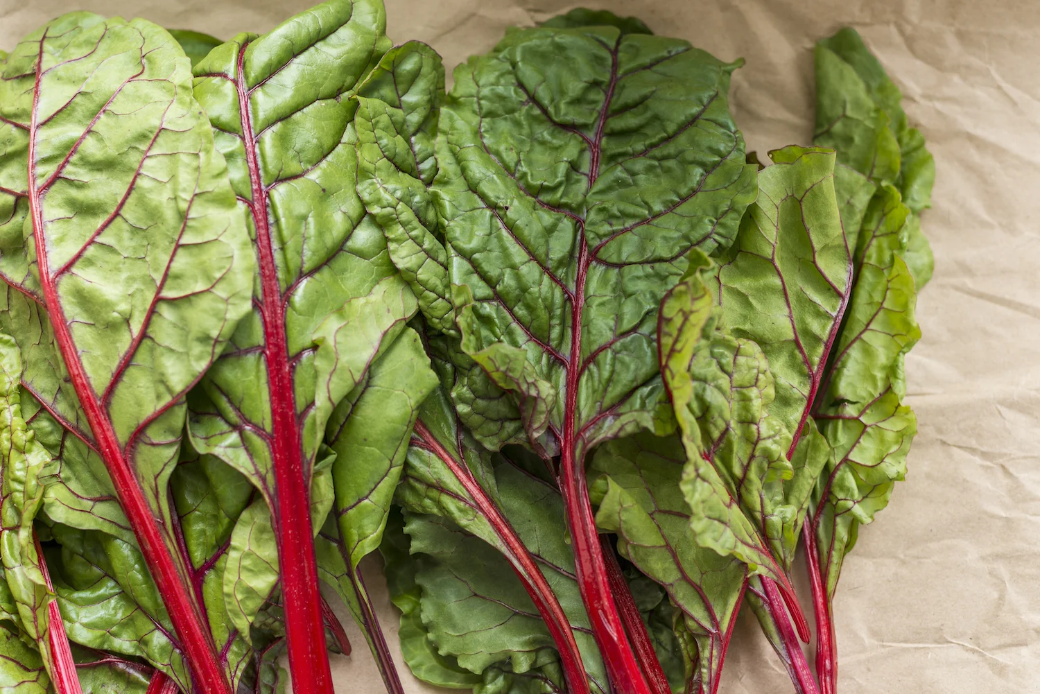 Freshly picked red chard from the farm.jpg