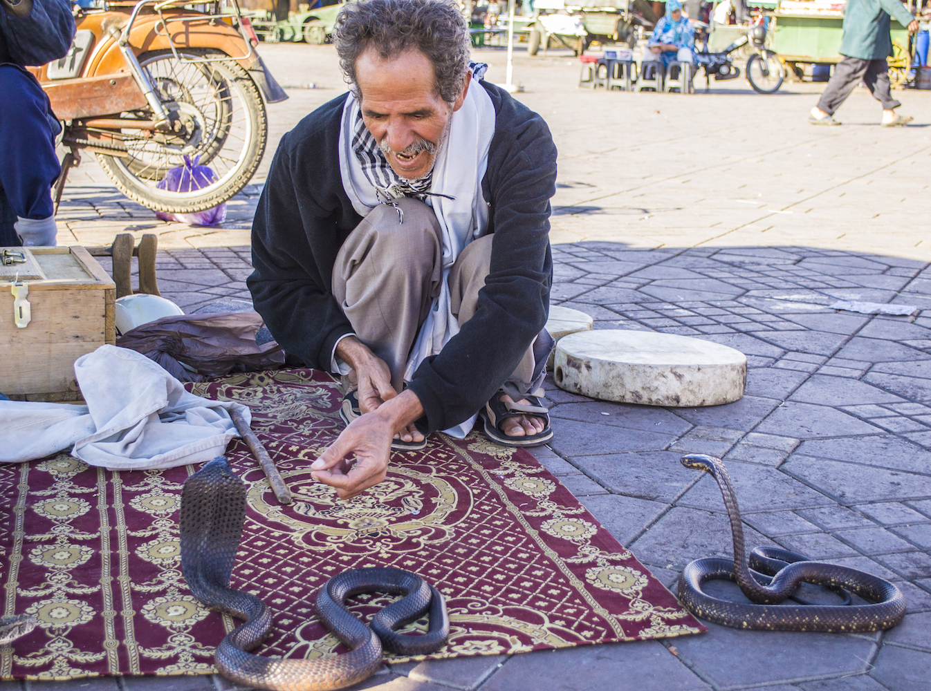 Snake charmers in Jemaa el Fna Square.jpg