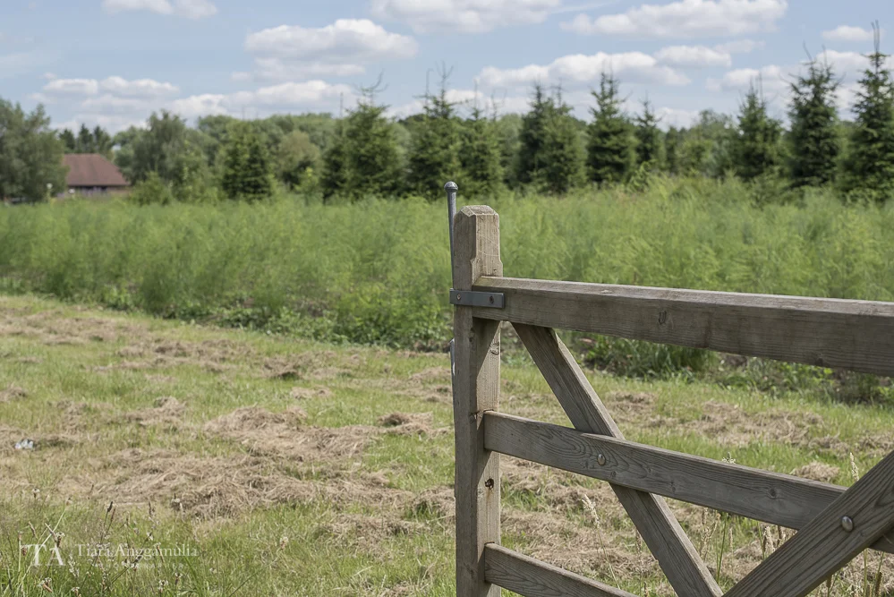 Entrance to Crockford Bridge Farm.