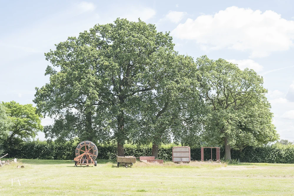 Green area at Crockford Bridge Farm.