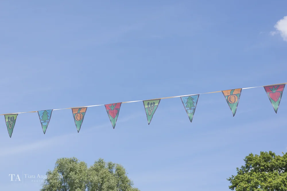 Colourful bunting flags at Crockford Bridge Farm.