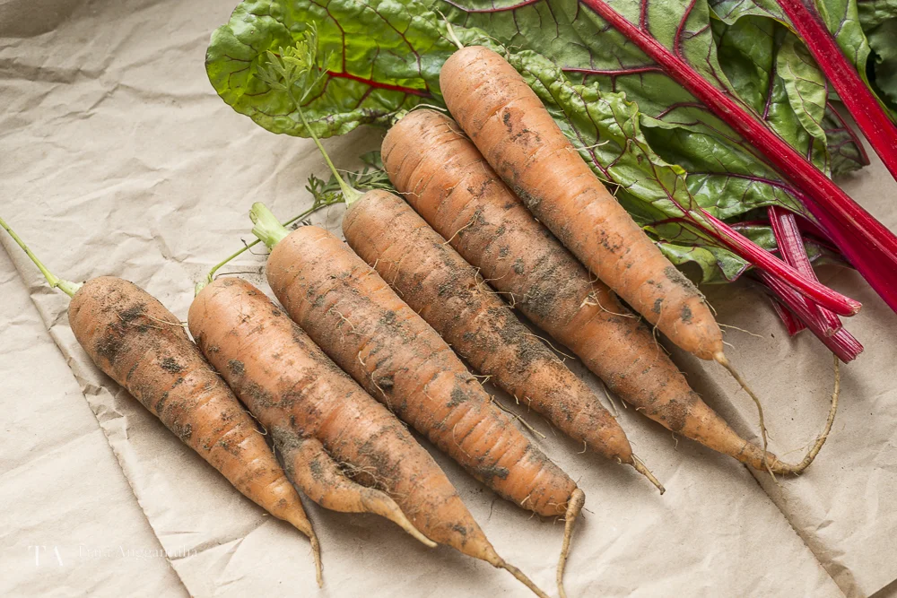 Freshly picked carrots and red chard from the farm.